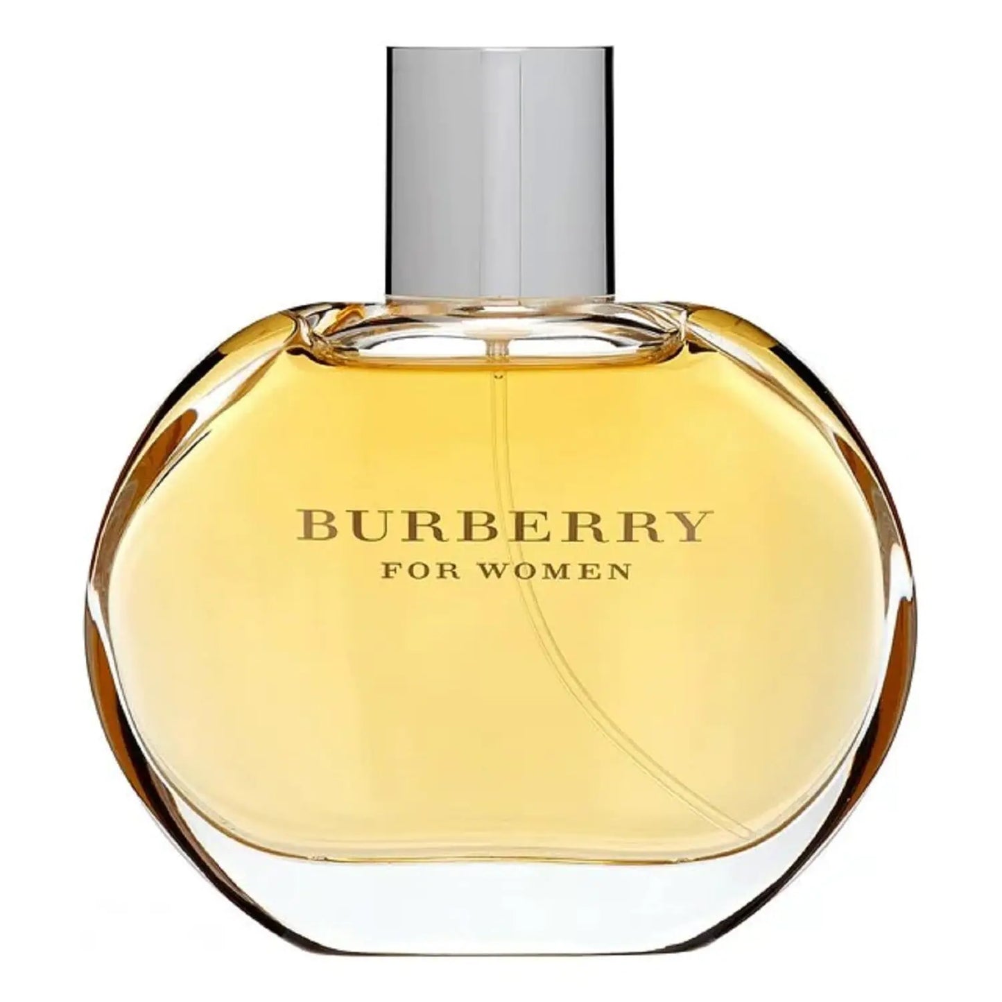 Burberry Femme Classic Eau de Parfum 3.3 Fl Oz